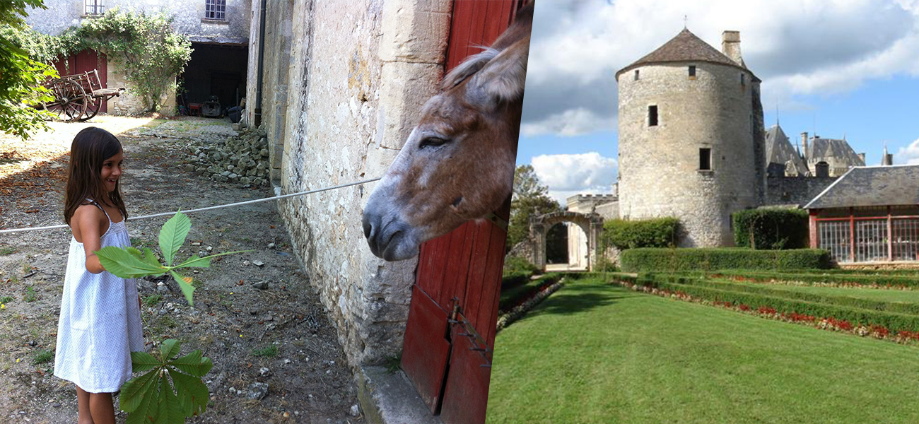 Balade dans le parc